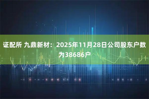 证配所 九鼎新材：2025年11月28日公司股东户数为38686户